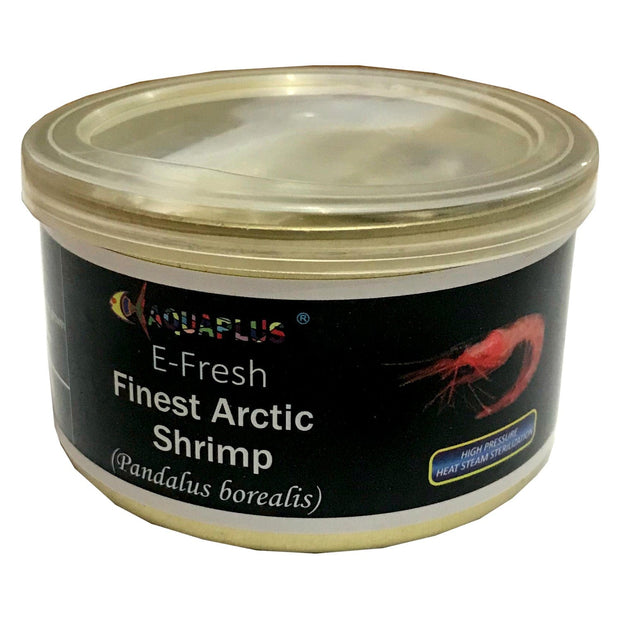 Big Kahuna Fresh Canned Arctic Shrimp 100g - Big Kahuna Tropical Fish