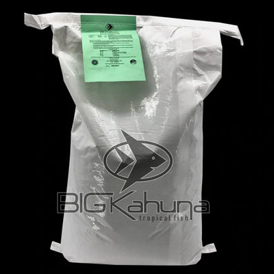 Best tropical fish food- What is best for your fish?