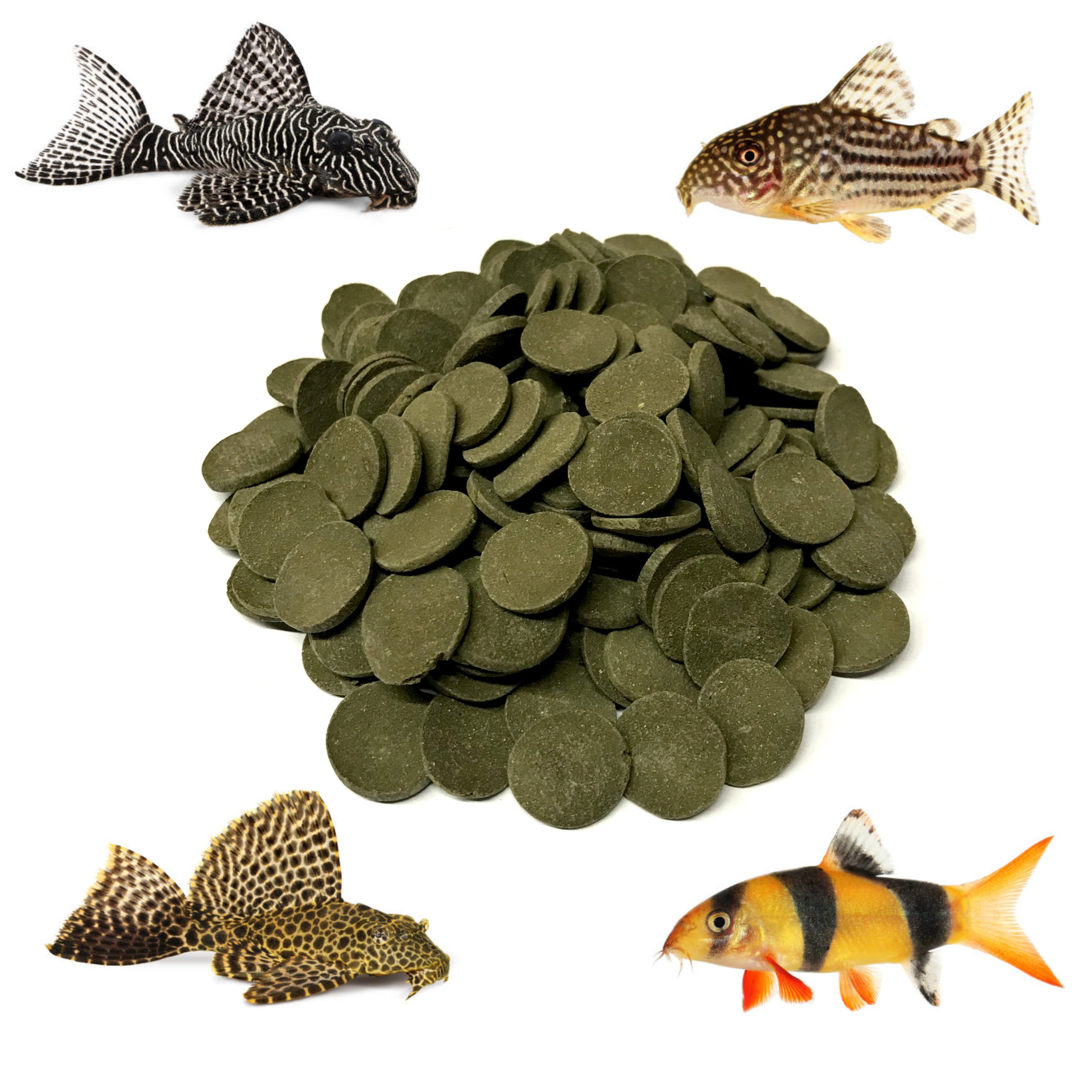 Big Kahuna Bulk Algae Wafer Spirulina Disk Large 18MM