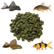 Big Kahuna Bulk Algae Wafer Spirulina Disc Tiny 8MM