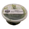 Taxiphyllum Barbieri - 4 oz Tissue Culture