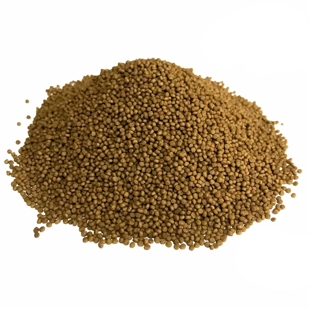 Big Kahuna Betta Pellet Food