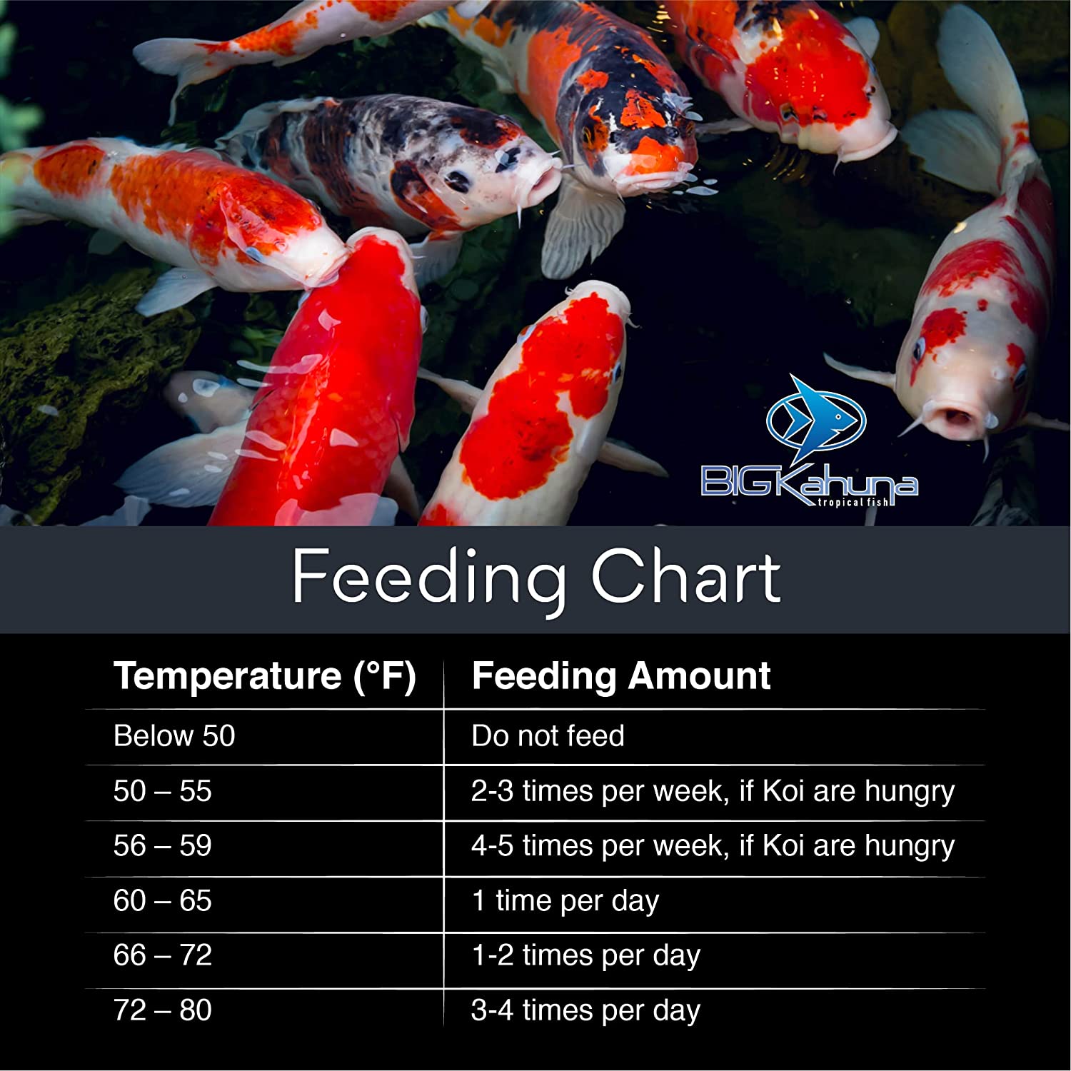 Big Kahuna Premium Koi Food - Big Kahuna Tropical Fish