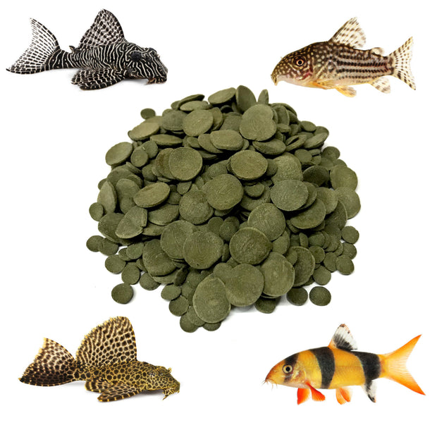 Mixed Size Algae Wafers Fish Food - 8mm and 12mm