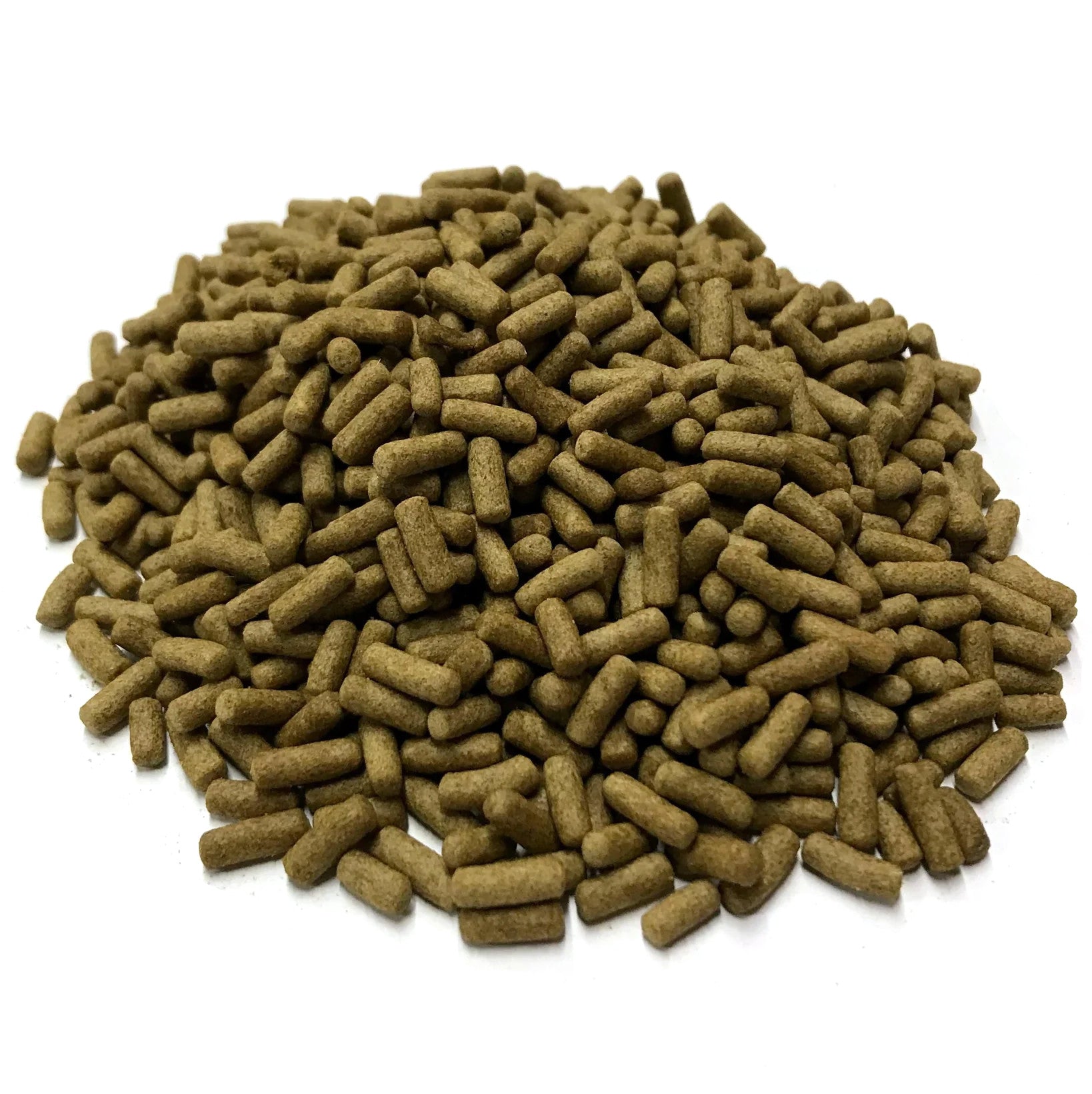 Big Kahuna Floating Turtle Sticks