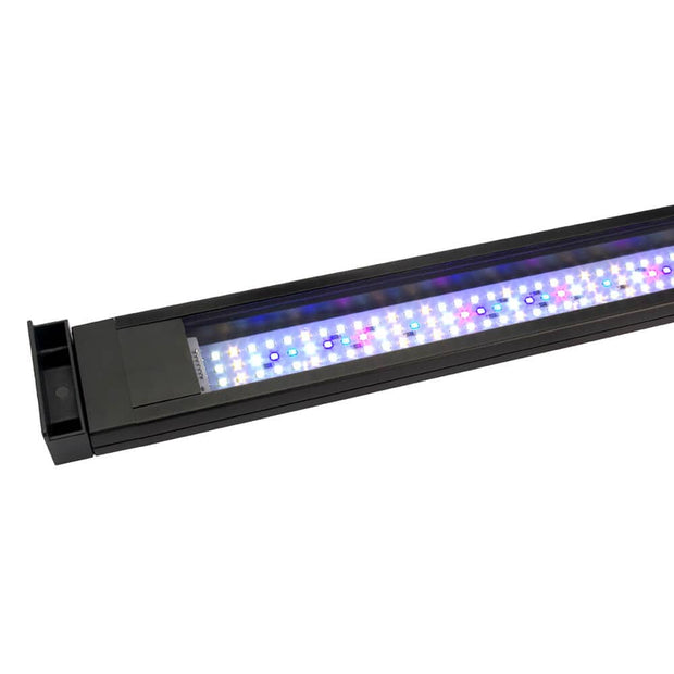Fluval Freshwater Plant Spectrum LED - Big Kahuna Tropical Fish