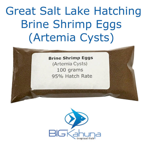 Big Kahuna Great Salt Lake Premium Hatching Brine Shrimp (Artemia Cysts) - Big Kahuna Tropical Fish