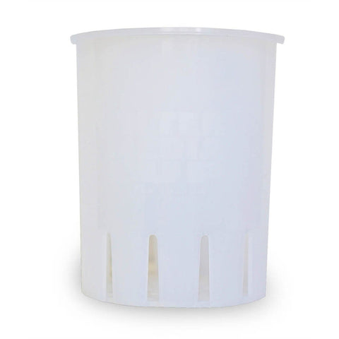 7" Filter Media Cup - Big Kahuna Tropical Fish