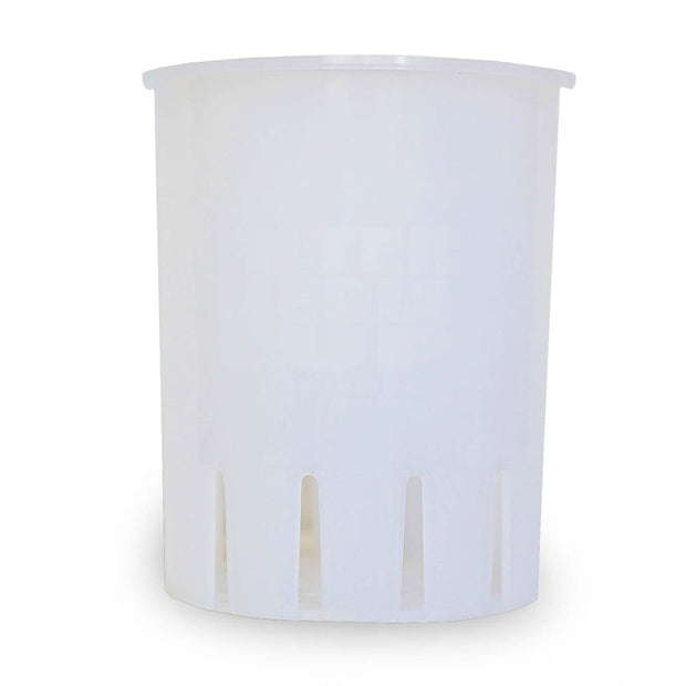 7" Filter Media Cup - Big Kahuna Tropical Fish