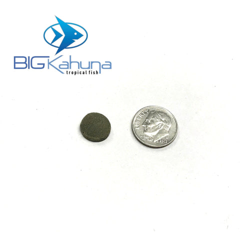 Big Kahuna Bulk Algae Wafer Spirulina Disk Small 12MM - Big Kahuna Tropical Fish