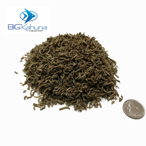 Big Kahuna Freeze Dried Bloodworms - Big Kahuna Tropical Fish