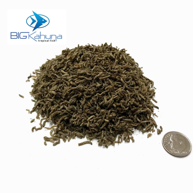 Big Kahuna Freeze Dried Bloodworms - Big Kahuna Tropical Fish