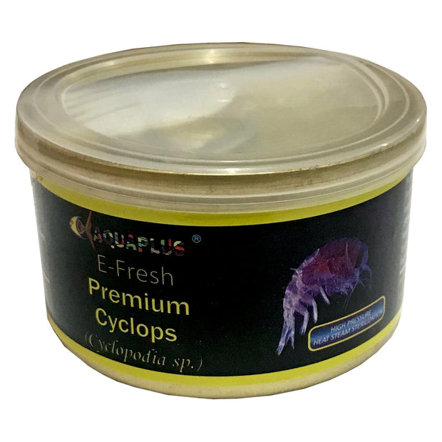 Big Kahuna Fresh Canned Cyclops 100g - Big Kahuna Tropical Fish