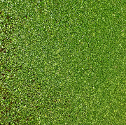 Duckweed (lemna minor) - Big Kahuna Tropical Fish