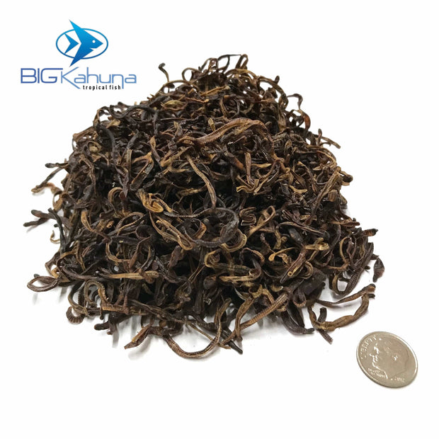 Big Kahuna Dried Earthworms - Big Kahuna Tropical Fish