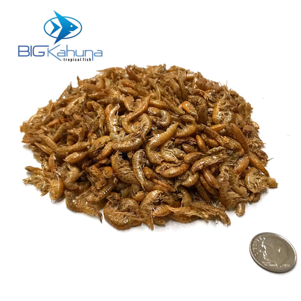 Big Kahuna Sun Dried Gammarus - Big Kahuna Tropical Fish