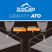 IceCap Gravity ATO - Big Kahuna Tropical Fish