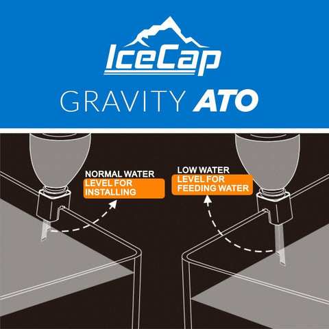 IceCap Gravity ATO - Big Kahuna Tropical Fish
