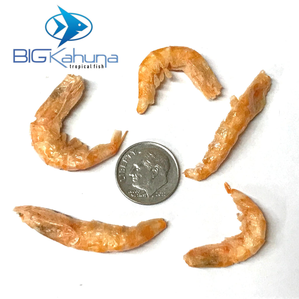 Big Kahuna Bulk Krill Freeze Dried Krill Superba From Antarctica - Big Kahuna Tropical Fish