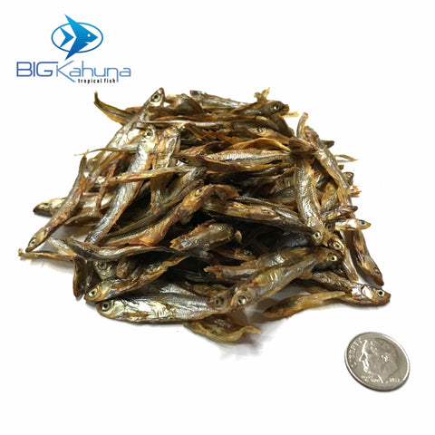 Big Kahuna Sun Dried River Fish - Big Kahuna Tropical Fish