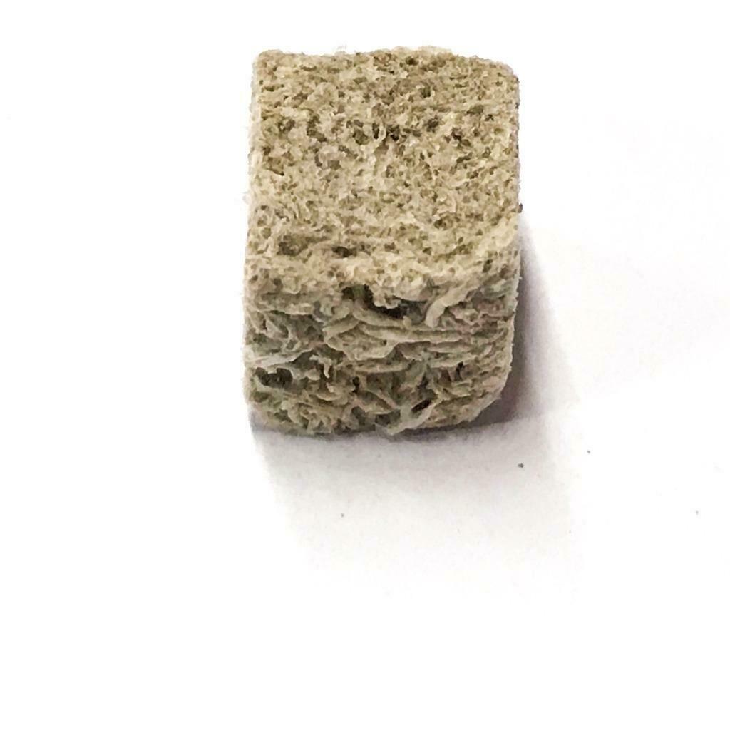 Big Kahuna Premium Tubifex Worms - Big Kahuna Tropical Fish