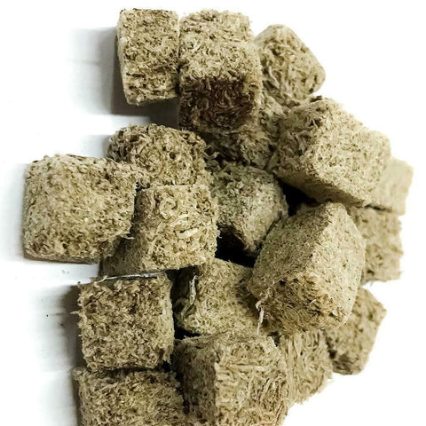 Big Kahuna Premium Tubifex Worms - Big Kahuna Tropical Fish